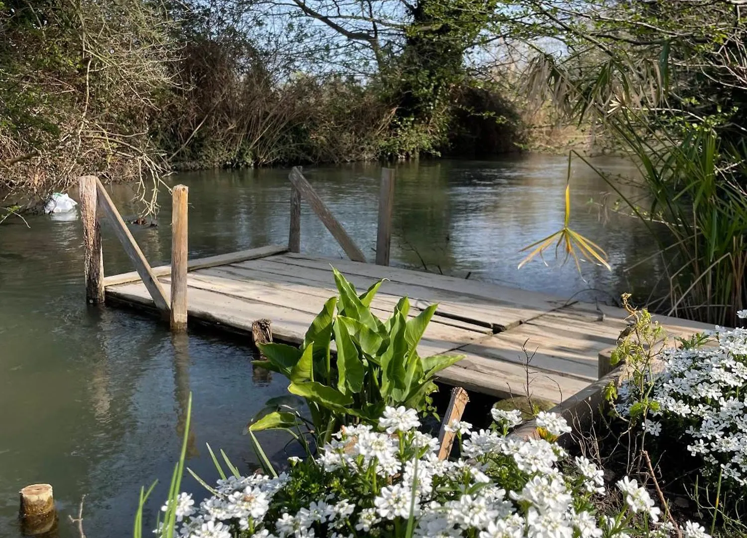 Holiday home La Petite Rive - Les Oliviers Villa Velleron France