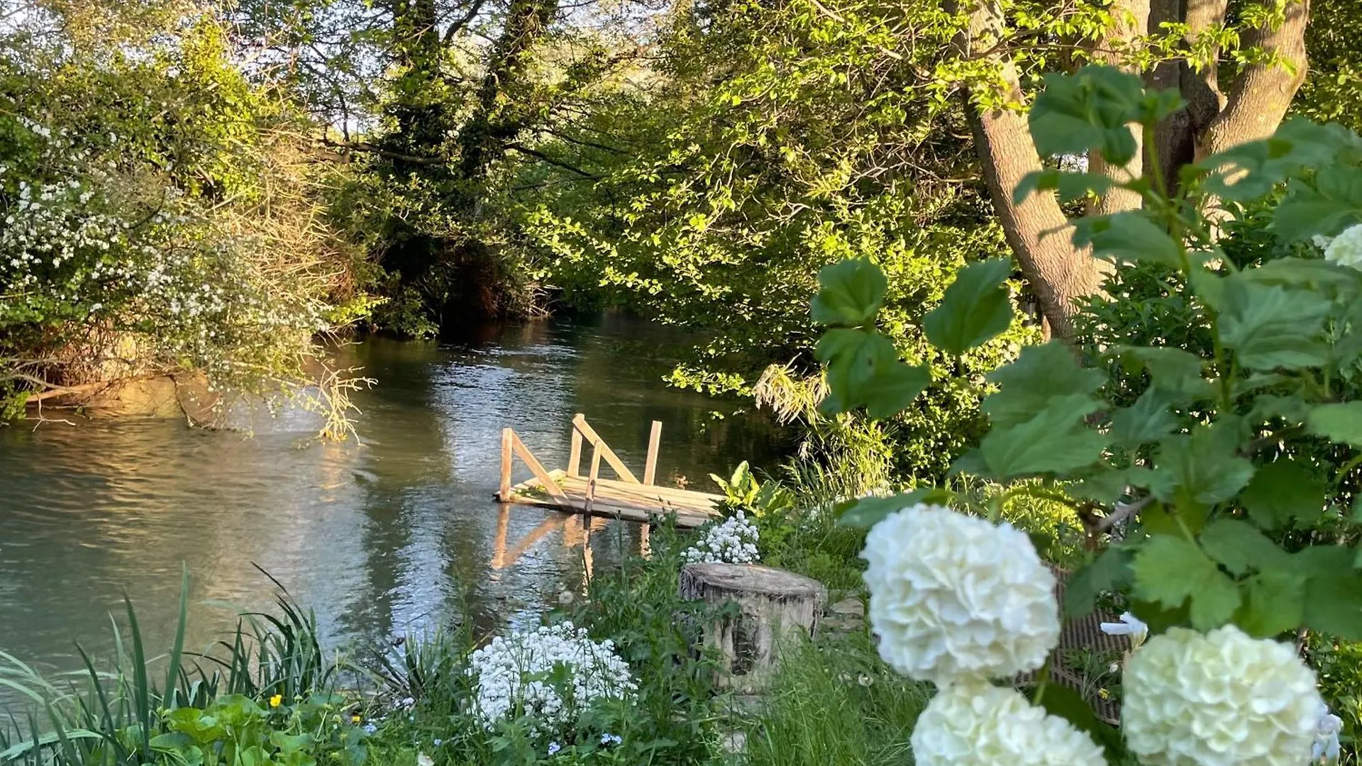 La Petite Rive - Les Oliviers Villa Velleron