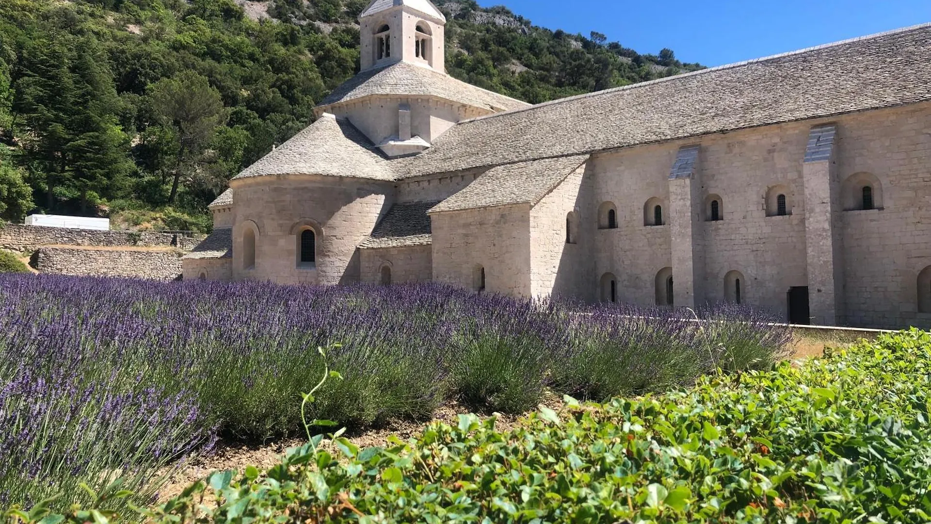 Holiday home La Petite Rive - Les Oliviers Villa Velleron